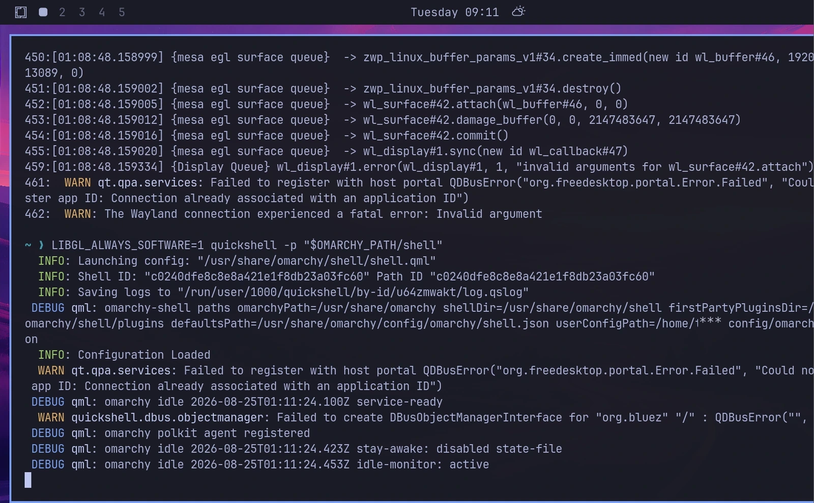 The same shell launches successfully with Mesa software rendering.