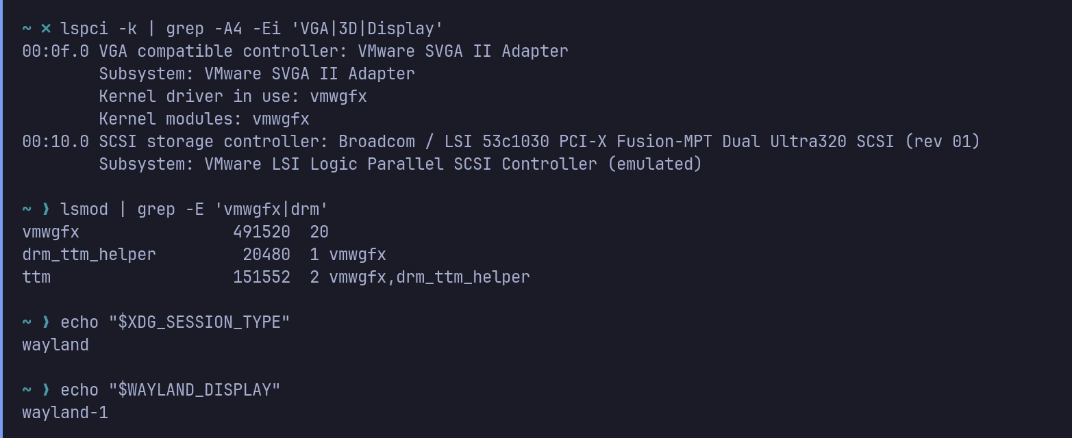 Terminal output identifying the VMware SVGA II adapter, the vmwgfx kernel driver, and a native Wayland session.